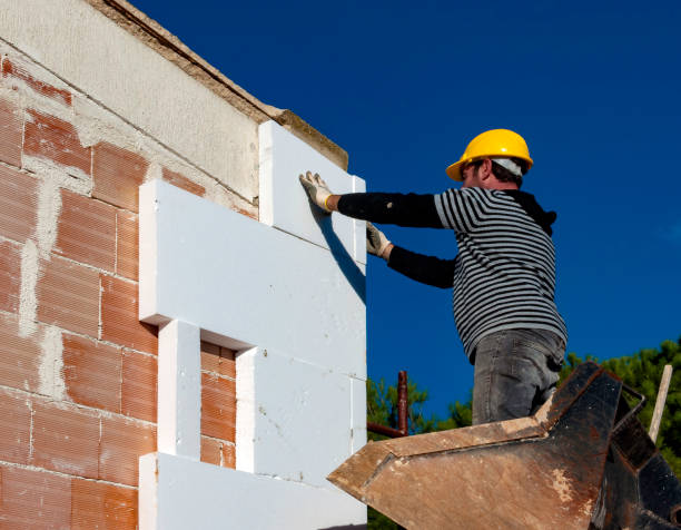 Best Insulation Replacement Services  in Bellerose, NY