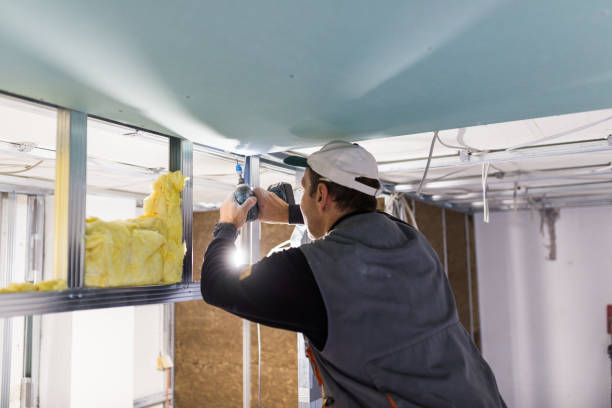 Best Insulation Inspection Services  in Bellerose, NY